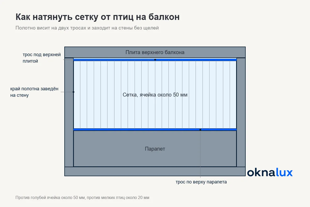 Схема «Как натянуть сетку от птиц на балкон»: трос под верхней плитой и по парапету, полотно с ячейкой около 50 мм, края заведены на стены