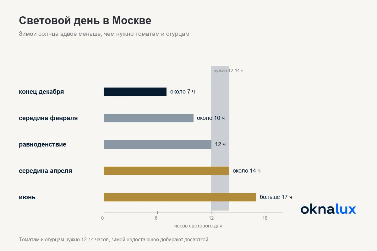 Схема «Световой день в Москве»: около 7 часов в декабре, 10 в феврале, 12 в марте, 14 в апреле и больше 17 в июне против нужных растениям 12-14 часов